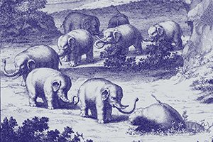 Diplomado en Estética y filosofía