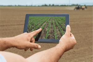 Diplomado en Gestión de Agronegocios