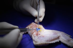 Entrenamiento de habilidades en microcirugía. Nivel avanzado