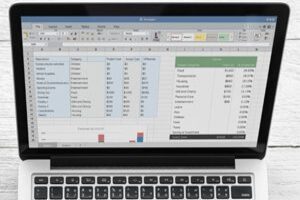 Manejo intermedio de la planilla de cálculo Excel para Windows