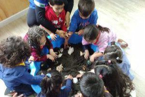 Diplomado pedagogía transformacional para aulas innovadoras y de calidad en educación parvularia, diplomado en educación parvularia