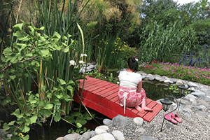 Creación y desarrollo de jardines acuáticos