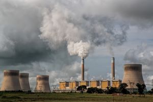 Delitos ambientales: regulación, tendencias y aspectos prácticos