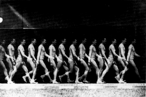 Diplomado en Estudios de cine