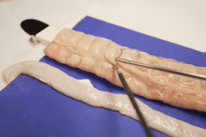 Diplomado en Simulación en cirugía laparoscópica colorrectal