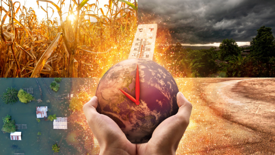 Diplomado en Cambio climatico UC