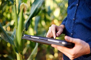 Actualizacioin-de-variables-productivas-y-administracioin-de-riesgos-financieros-en-la-agricultura-chilena