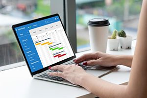 Excel para la gestión de proyectos