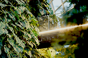 Conceptos y bases para el diseño sustentable