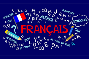 Francés Intermedio I