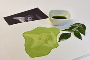 Técnicas fotográficas alternativas sostenibles