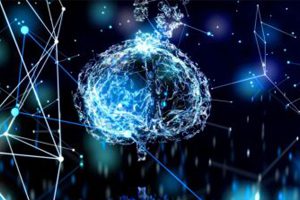 Envejecimiento cerebral: resiliencia y vulnerabilidad