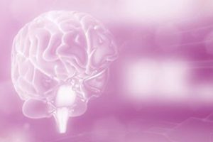 Fundamentos del neurodesarrollo y sus trastornos, curso neurodesarrollo, curso trastornos del neurodesarrollo