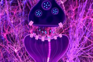 Neurobiología de la adicción del cerebro a la clínica