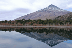 Diplomado en gestión de riesgos financieros ligados a clima y naturaleza